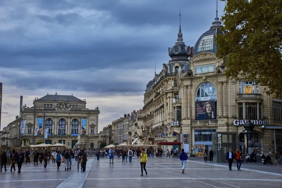 Gazon synthétique à Montpellier
