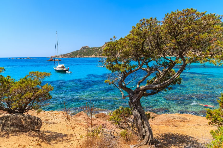 Gazon synthétique Corse