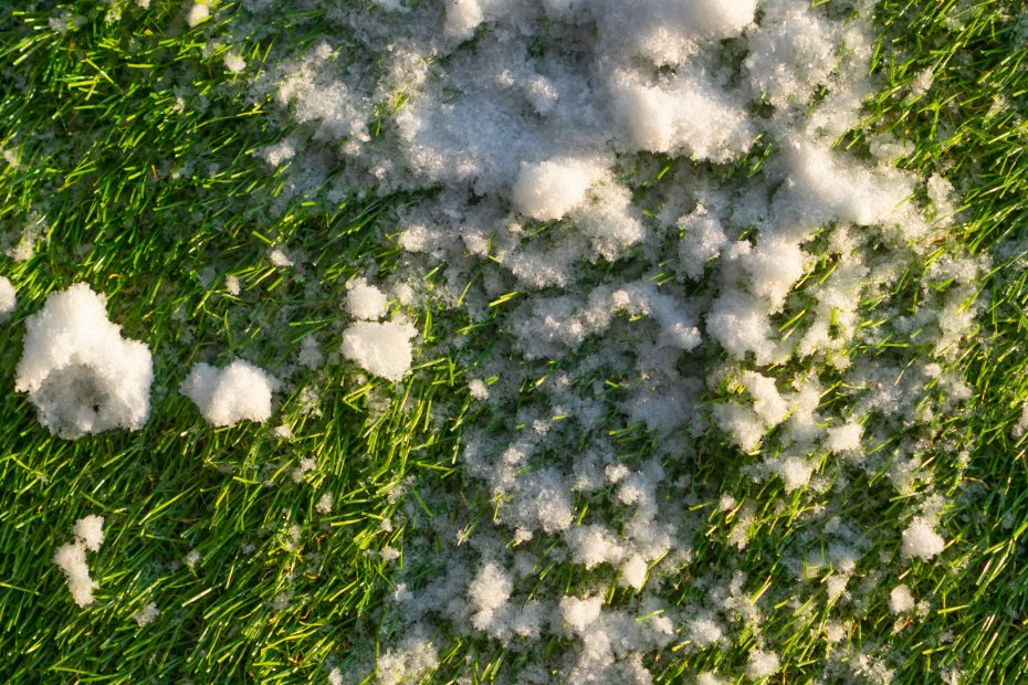 Gazon synthétique neige
